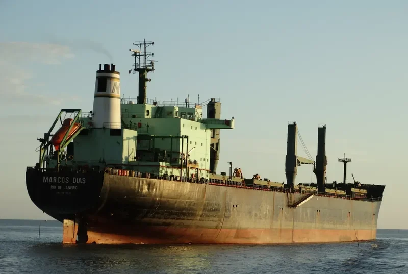 MARCOS DIAS Bulk Carrier IMO 9070565 photo 7