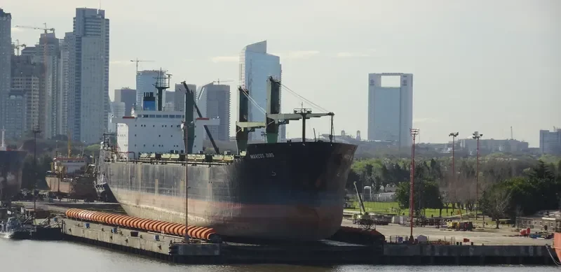MARCOS DIAS Bulk Carrier IMO 9070565 photo 9