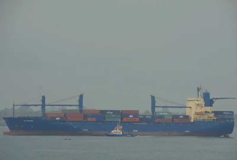 RENE Container Ship IMO 9070644 photo 3