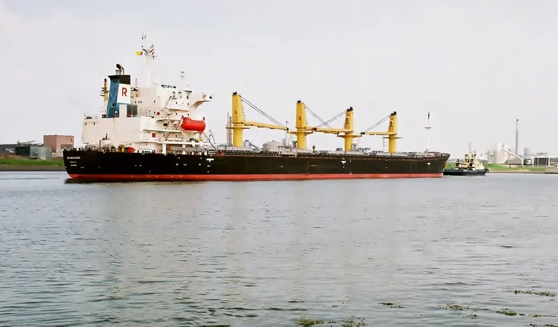 LUNI Bulk Carrier IMO 9070711 photo 2