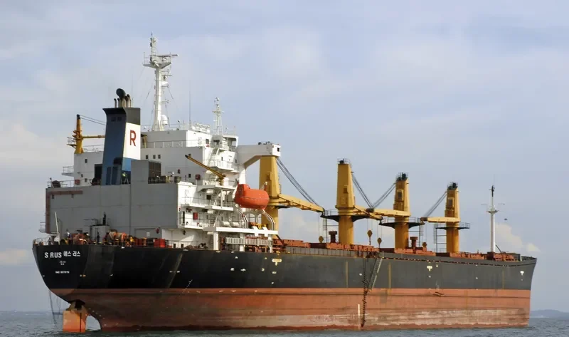 LUNI Bulk Carrier IMO 9070711 photo 6