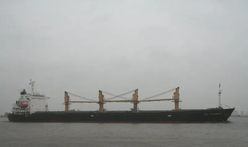 LUNI Bulk Carrier IMO 9070711 photo 7