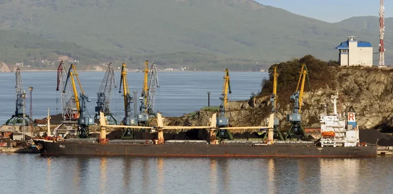 DALI Bulk Carrier IMO 9070735