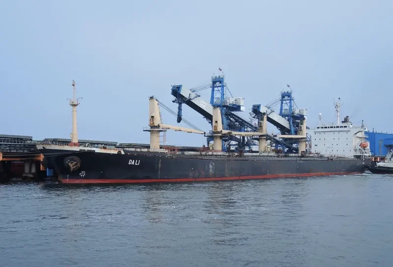 DALI Bulk Carrier IMO 9070735 photo 3