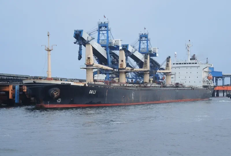 DALI Bulk Carrier IMO 9070735 photo 4