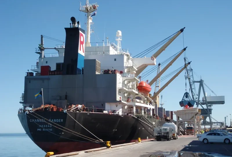 DALI Bulk Carrier IMO 9070735 photo 7