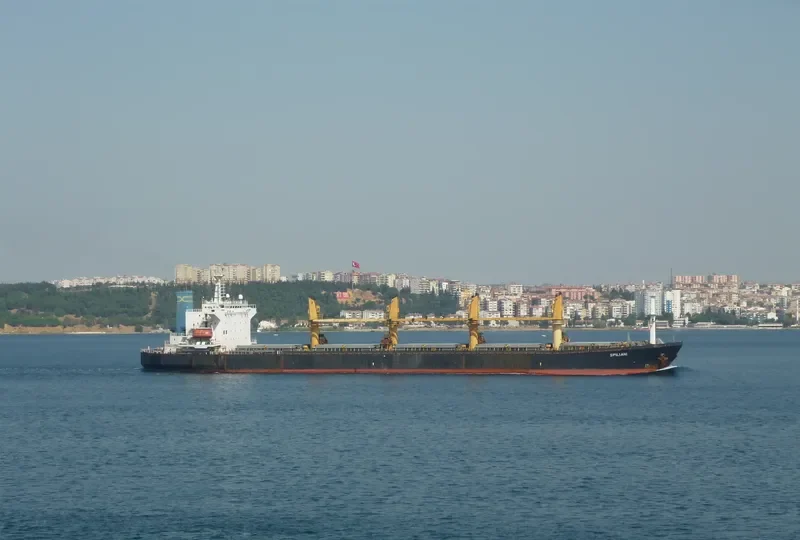 LASS Bulk Carrier IMO 9070773