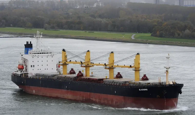 MINXI Bulk Carrier IMO 9070797 photo 6