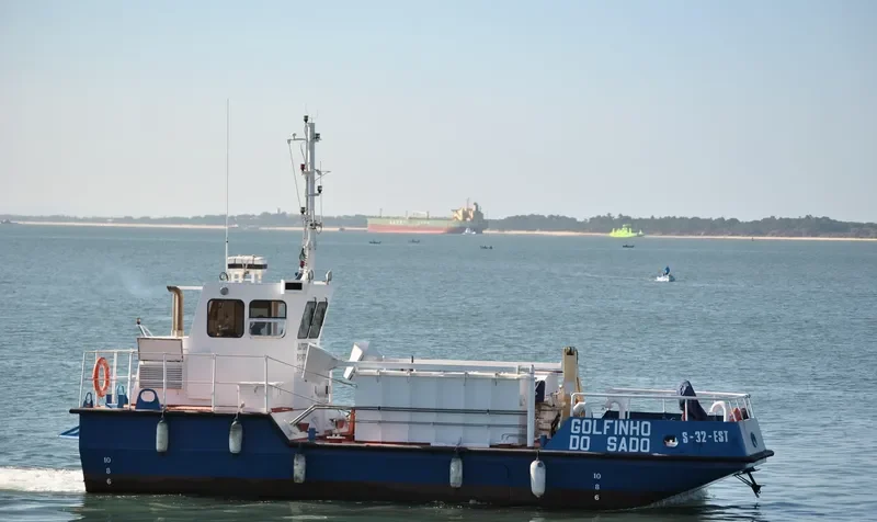 GOLFINHO DO SADO General Cargo IMO 9070864