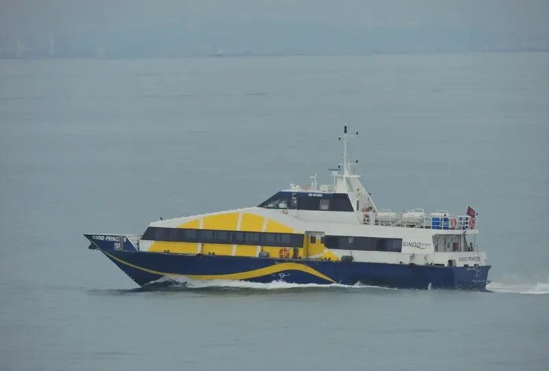 SINDO PRINCESS Ro-Ro IMO 9070888 photo 4