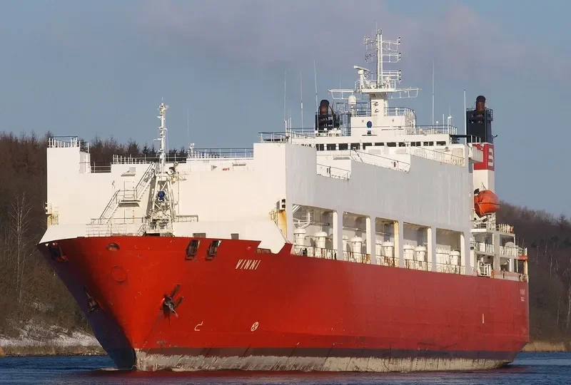 VINNI Ro-Ro IMO 9070931 photo 8