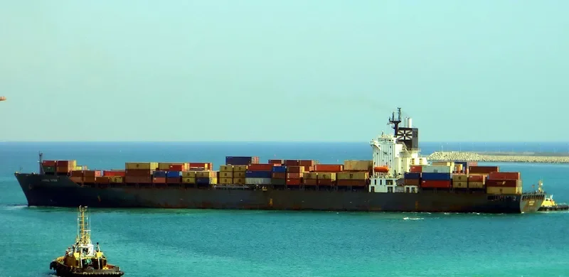 INDIA Container Ship IMO 9070967 photo 2