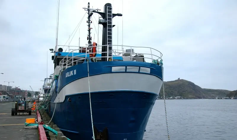 VINLANDER General Cargo IMO 9071129 photo 3