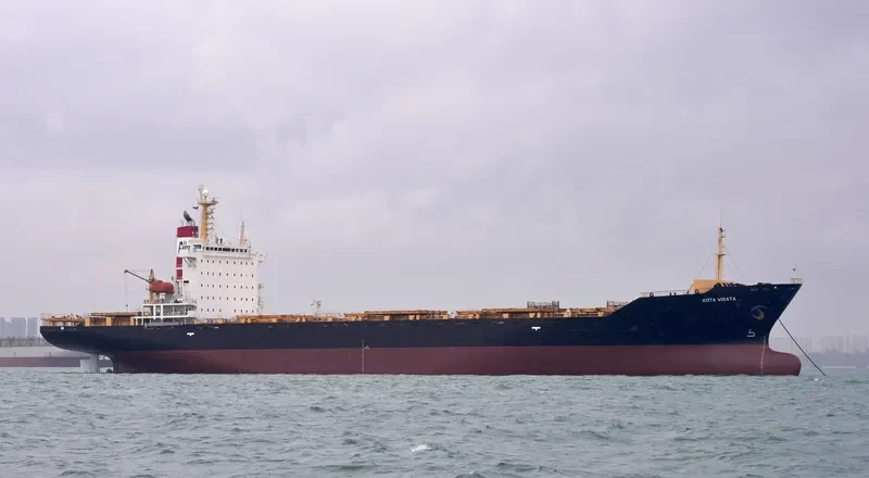 KOTA WISATA Container Ship IMO 9071208 photo 3