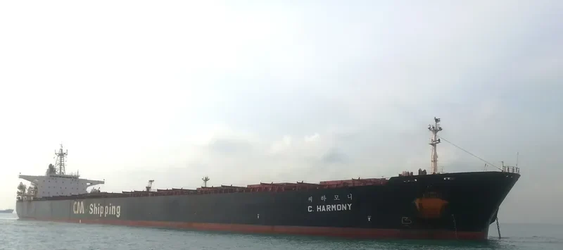 C.HARMONY Bulk Carrier IMO 9071222 photo 4