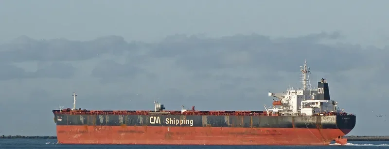 C.HARMONY Bulk Carrier IMO 9071222 photo 5