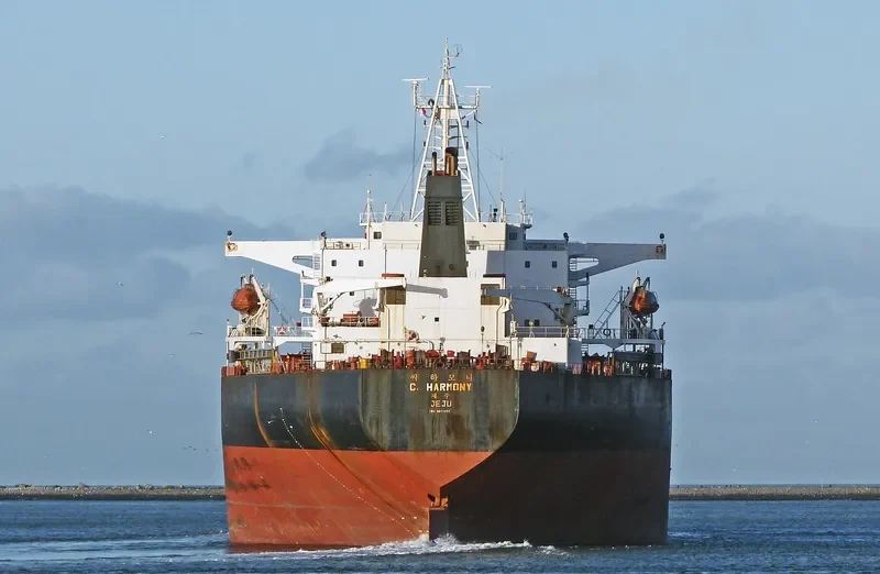 C.HARMONY Bulk Carrier IMO 9071222 photo 7