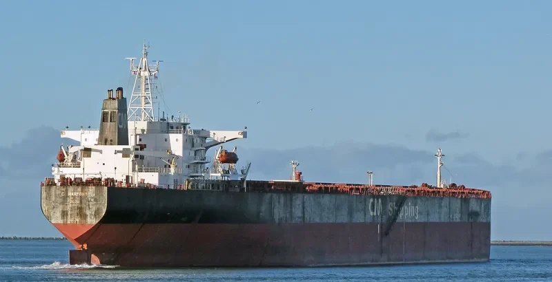 C.HARMONY Bulk Carrier IMO 9071222 photo 8