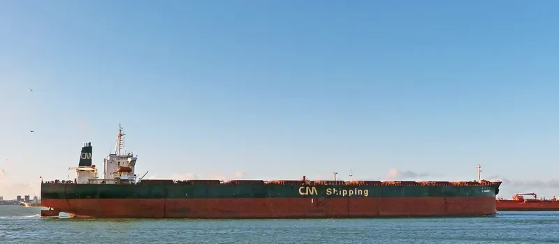 C.HARMONY Bulk Carrier IMO 9071222 photo 9