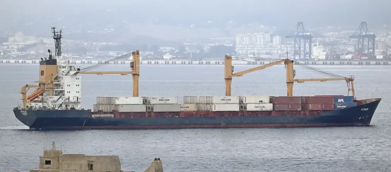 PETALIDI Container Ship IMO 9071272