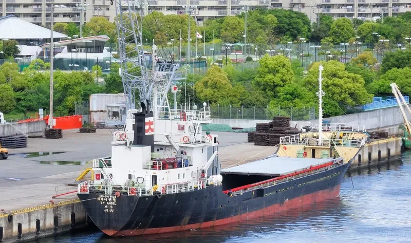 TY ANGEL General Cargo IMO 9071428 photo 10
