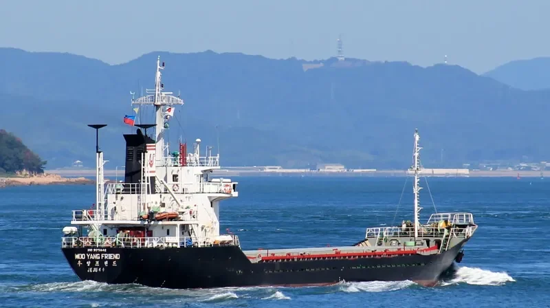 SEABORNE CARGO 3 General Cargo IMO 9071442 photo 2