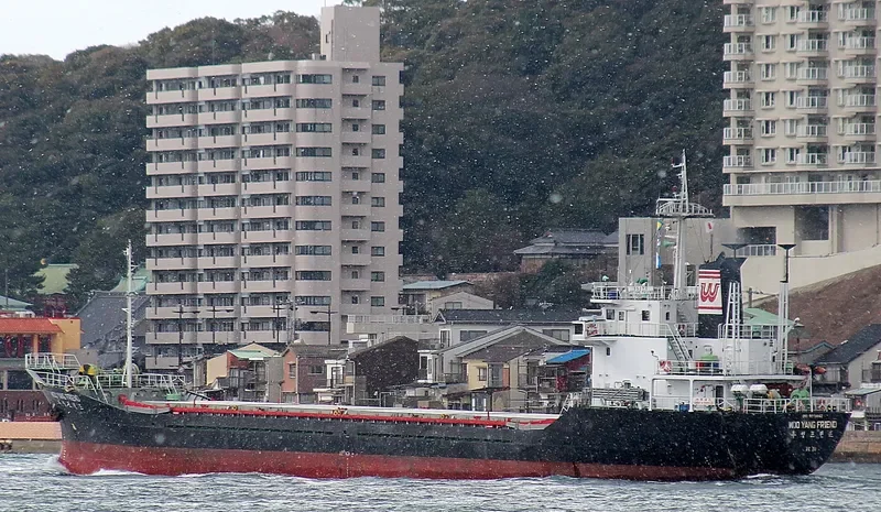 SEABORNE CARGO 3 General Cargo IMO 9071442 photo 8