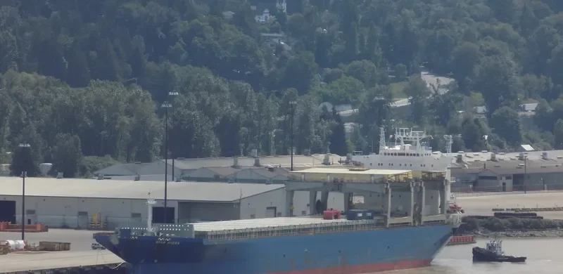 STAR HIDRA General Cargo IMO 9071569 photo 8