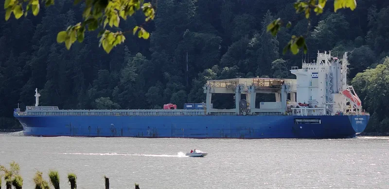 STAR HIDRA General Cargo IMO 9071569 photo 10