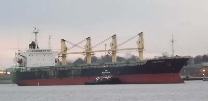STEEL WISDOM General Cargo IMO 9071571 photo 3