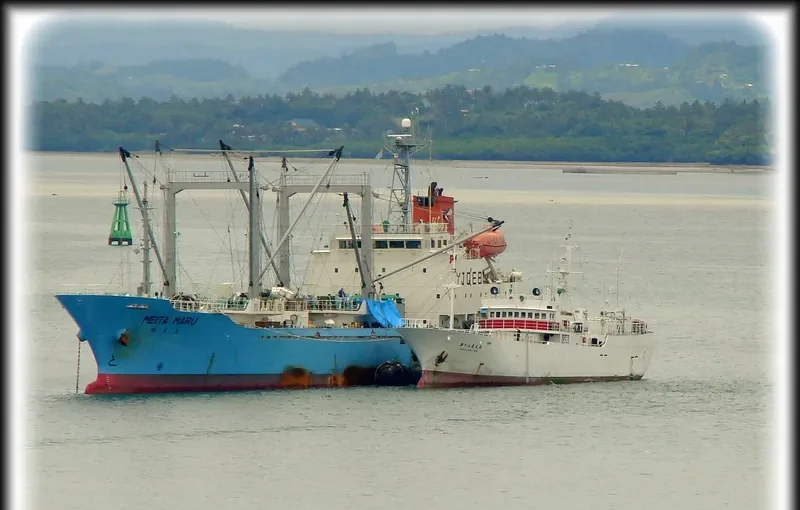 MEITA MARU General Cargo IMO 9071583 photo 8