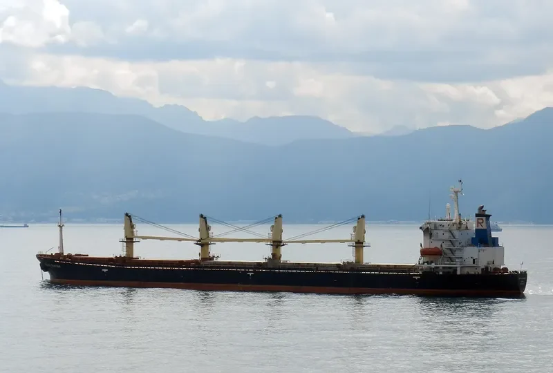 EZ FORTUNA Bulk Carrier IMO 9071595 photo 2