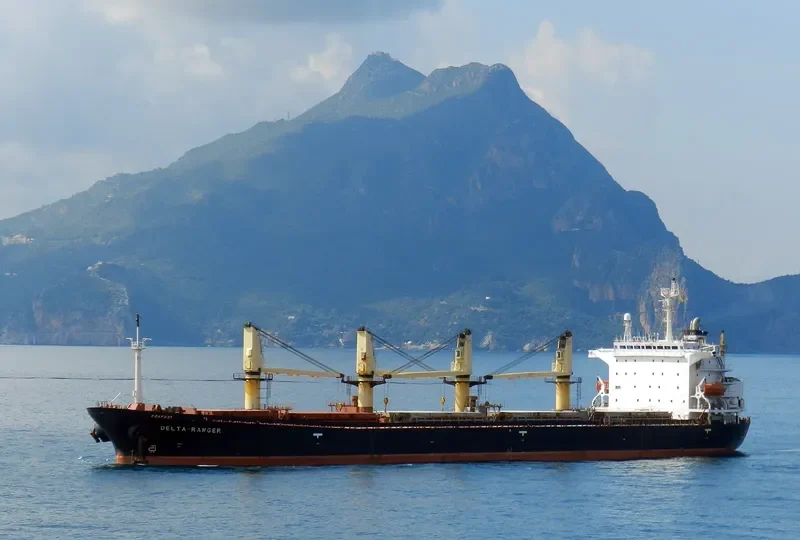 EZ FORTUNA Bulk Carrier IMO 9071595 photo 3