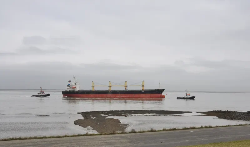 EZ FORTUNA Bulk Carrier IMO 9071595 photo 10