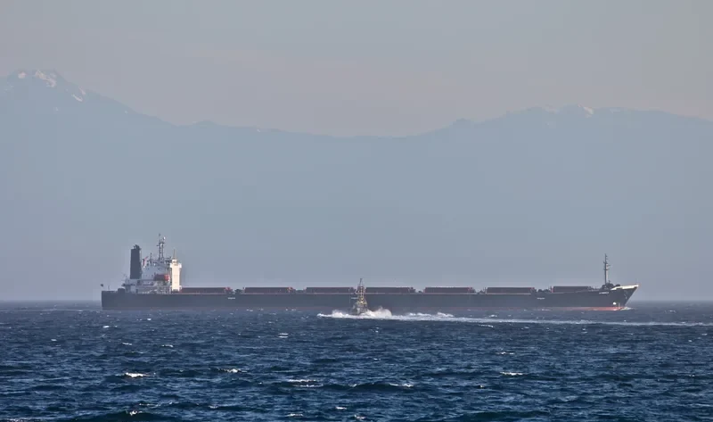 VARVA Bulk Carrier IMO 9071600 photo 3