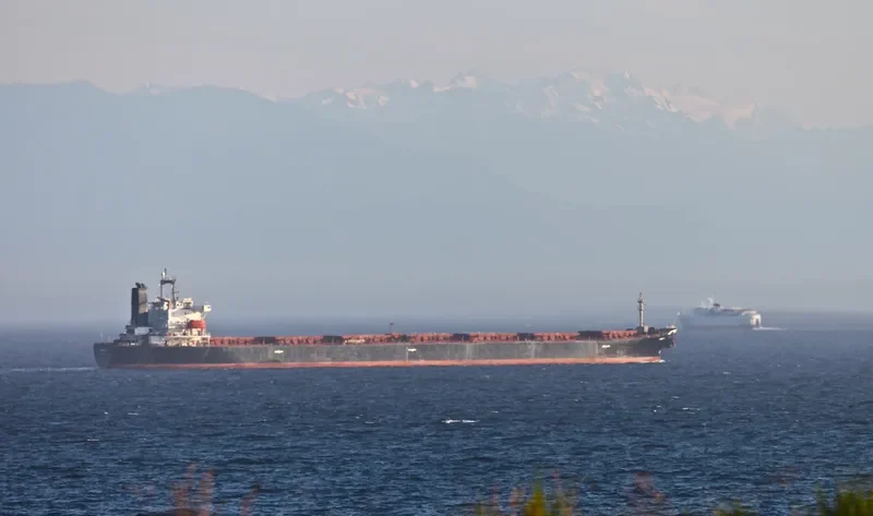 VARVA Bulk Carrier IMO 9071600 photo 4
