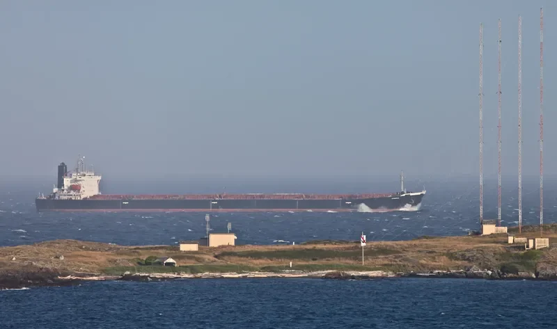 VARVA Bulk Carrier IMO 9071600 photo 5