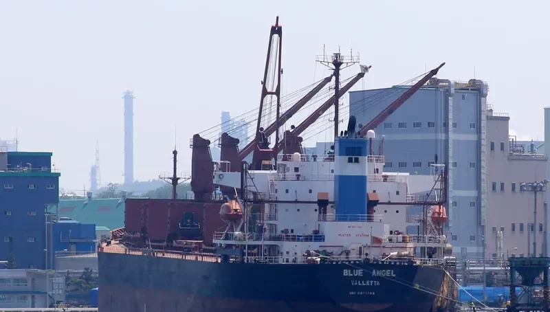 GERM SPRING Bulk Carrier IMO 9071765