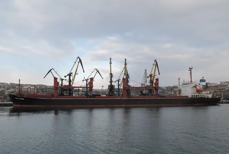 GERM SPRING Bulk Carrier IMO 9071765 photo 2
