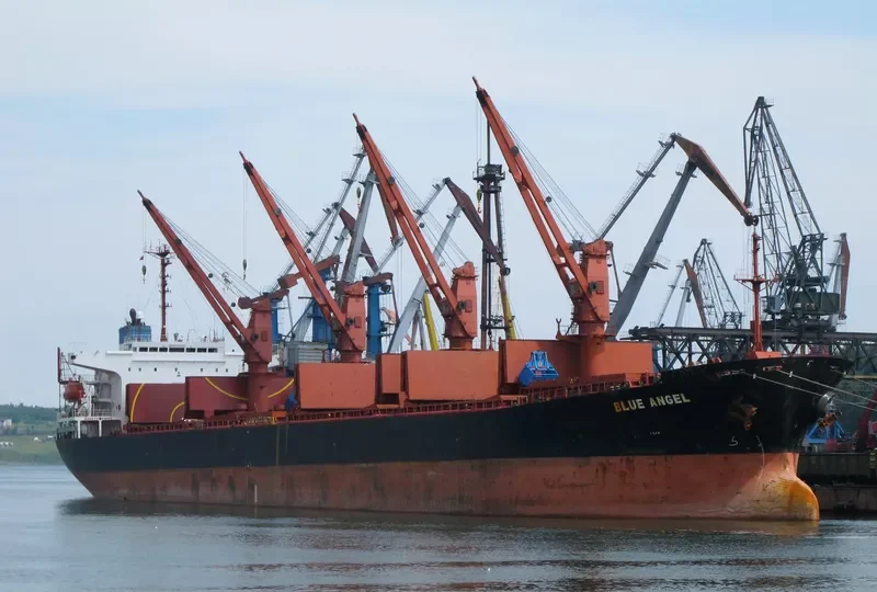 GERM SPRING Bulk Carrier IMO 9071765 photo 3