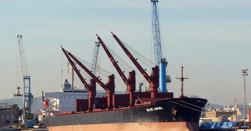 GERM SPRING Bulk Carrier IMO 9071765 photo 4