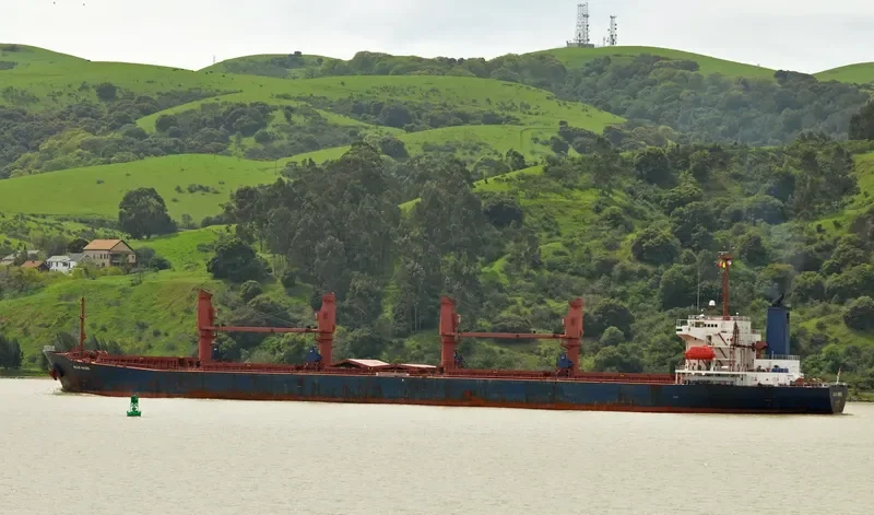 GERM SPRING Bulk Carrier IMO 9071765 photo 5