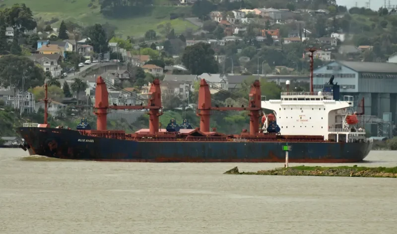 GERM SPRING Bulk Carrier IMO 9071765 photo 6