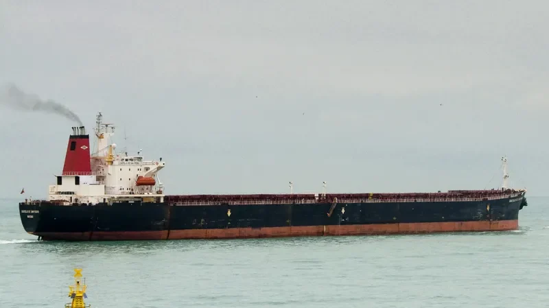 CASTILLO DE SAN PEDRO Bulk Carrier IMO 9071820 photo 2