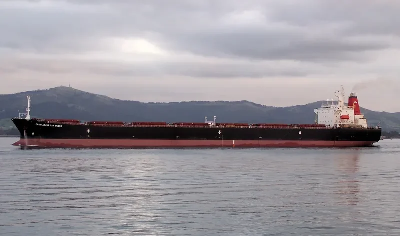 CASTILLO DE SAN PEDRO Bulk Carrier IMO 9071820 photo 6