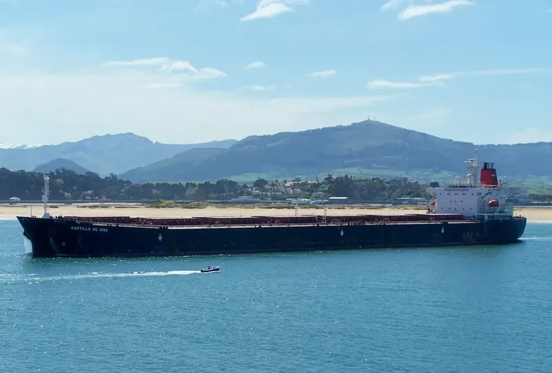 AQUARIA Bulk Carrier IMO 9071832 photo 3