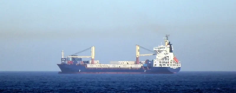 DELMAS SWALA Container Ship IMO 9072094