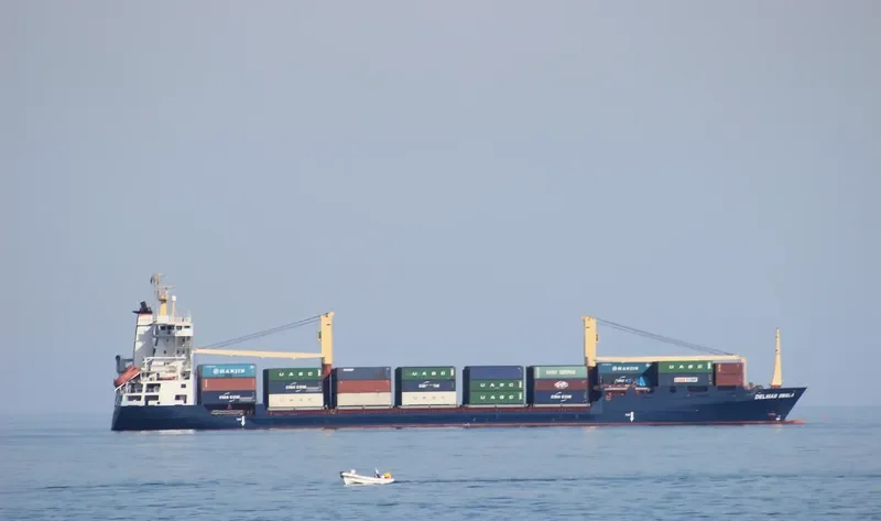DELMAS SWALA Container Ship IMO 9072094 photo 2