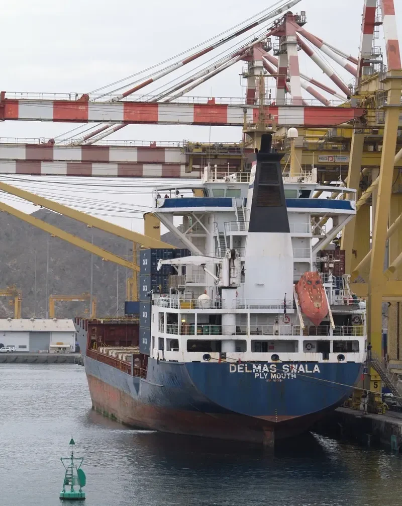 DELMAS SWALA Container Ship IMO 9072094 photo 3