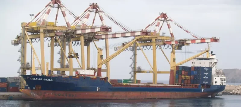 DELMAS SWALA Container Ship IMO 9072094 photo 4